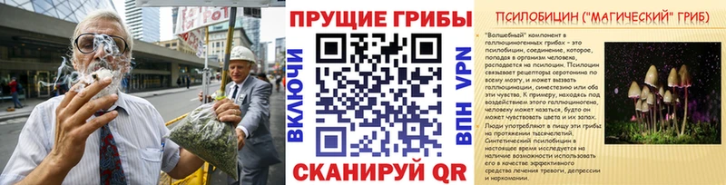 Псилоцибиновые грибы GOLDEN TEACHER  MEGA как войти  Узловая 